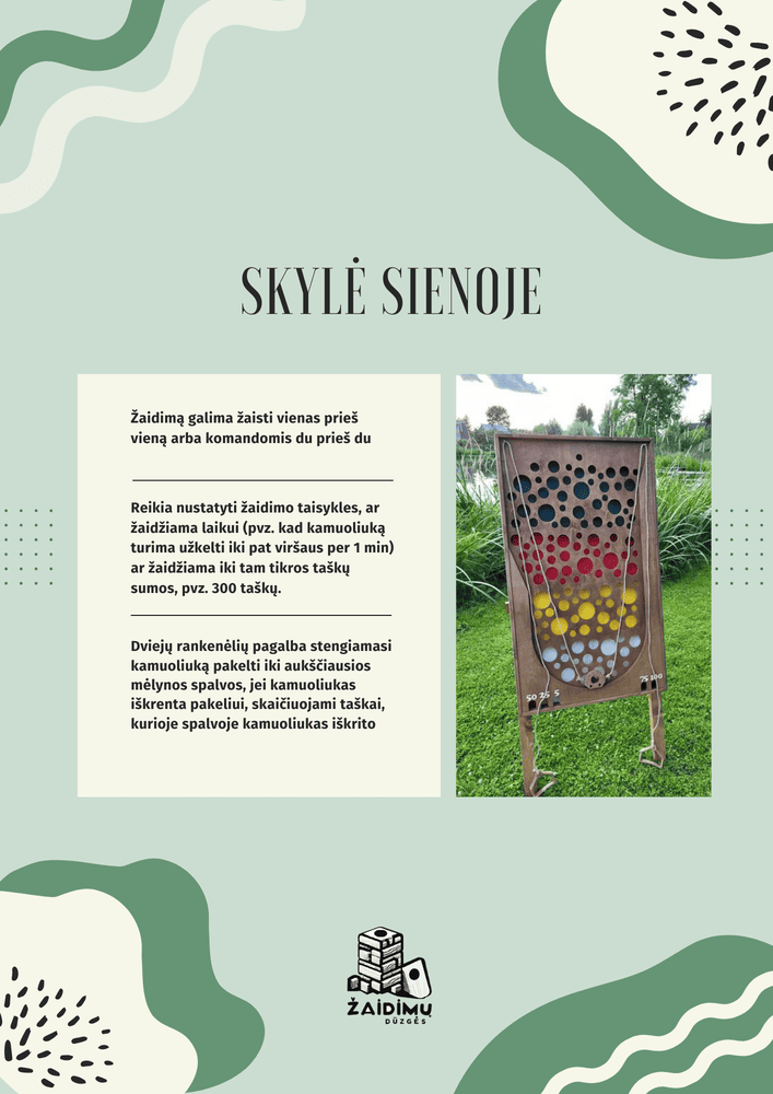 skyle-sienoje-taisykles